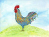 Meadow Rooster Poster Print - Ingrid Blixt