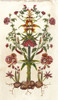 Botanical Hybrid I Poster Print - Naomi McCavitt