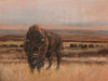 American Buffalo on the Plains I Poster Print - Ethan Harper