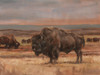 American Buffalo on the Plains II Poster Print - Ethan Harper