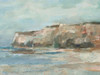 Neutral Coastal Cliffs II Poster Print - Ethan Harper