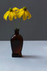 Yellow Rudbeckia Still Life Poster Print - Alyson Fennell