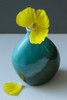 Yellow Welsh Poppy Still Life Closeup Poster Print - Alyson Fennell