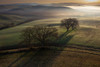 Tuscan Morning Poster Print - Jure Kravanja
