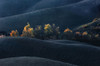 Tuscany Poster Print - Jure Kravanja