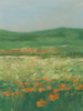 Summer Poppy Field I Poster Print - Ethan Harper