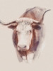 Bovine Concept II Poster Print - Steve Hunziker