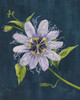 Passion Petals II Poster Print - Grace Popp