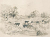 Vintage Farm Field III Poster Print - June Erica Vess
