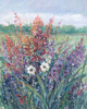 Wildflowers in Pasture II Poster Print - Tim OToole