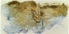 Golden Fissure I Poster Print - Sheila Finch