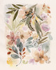 Potpourri Watercolor II Poster Print - Grace Popp