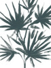 Tropical Cameo II Poster Print - June Erica Vess