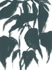Tropical Cameo I Poster Print - June Erica Vess