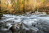 Downstream I Poster Print - Danny Head