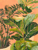 Golden Hour Greenery I Poster Print - Grace Popp