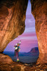 Natures Melody II Poster Print - David Drost