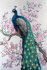 Peacock and Blossom I Poster Print - Tim OToole