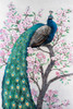 Peacock and Blossom II Poster Print - Tim OToole