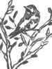 Onyx Bird Branch II Poster Print - June Erica Vess