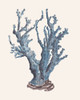 Indigo Reef I Poster Print - Melissa Wang