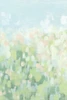Kaleidoscope Meadow I Poster Print - June Erica Vess