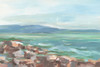 Pastel Shoreline Study I Poster Print - Ethan Harper