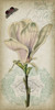 Cartouche and Floral I Poster Print - Jennifer Goldberger