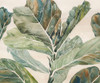 Fiddle Leaf Fig III Poster Print - Grace Popp