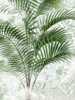 Lace Palms IV Poster Print - June Erica Vess