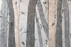 Into the Woods III Poster Print - Jade Reynolds