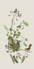 Nostalgic Birds II Poster Print - Andrea Haase