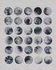Many Moons I Poster Print - Grace Popp
