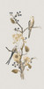 Nostalgic Birds III Poster Print - Andrea Haase
