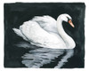 Midnight Swim II Poster Print - Grace Popp