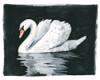 Midnight Swim I Poster Print - Grace Popp