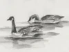 Geese Study II Poster Print - Ethan Harper