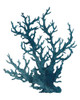 Coral Souvenirs IV Poster Print - Grace Popp