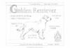 Custom Blueprint Golden Retriever Poster Print - Ethan Harper