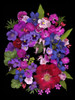 Flower Drama VIII Poster Print - Judy Stalus