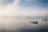 Boats at Dawn Poster Print - Kim Curinga