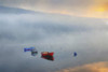 Primary Canoes Poster Print - Kim Curinga