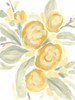 Ochre Blossoms II Poster Print - June Erica Vess
