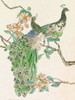 Emerald Peacock IV Poster Print - Melissa Wang