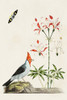 Bird in Habitat I Poster Print - Unknown