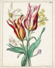 Dutch Florals XI Poster Print - Unknown