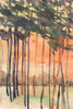 Between the Trees II Poster Print - Samuel Dixon