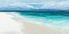 Bahama Storm Poster Print - Suzanne Wilkins