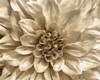 Neutral Wall Flower I Poster Print - Alonzo Saunders
