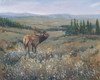 Western Wildlife I Poster Print - Tim OToole